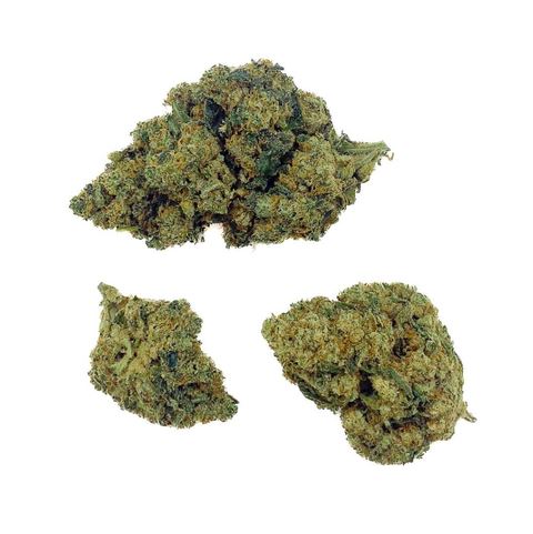 Amnesia Haze THCX 30% – Bud Mix – Indoor Hydro