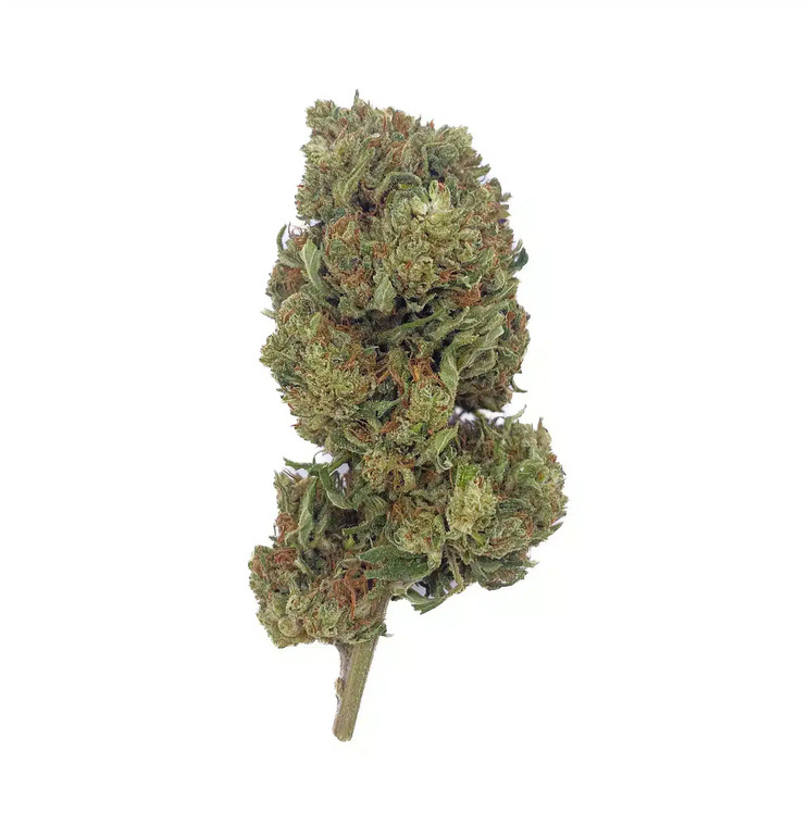 Hawaiian Haze CBD