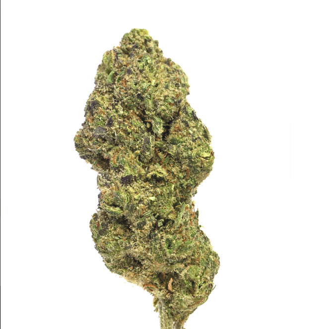 Northern Light CBD