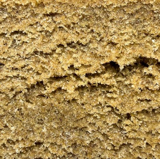 Papaya Hash THCX 50% – X-tract