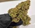 Runtz – autofloraison / Big buds