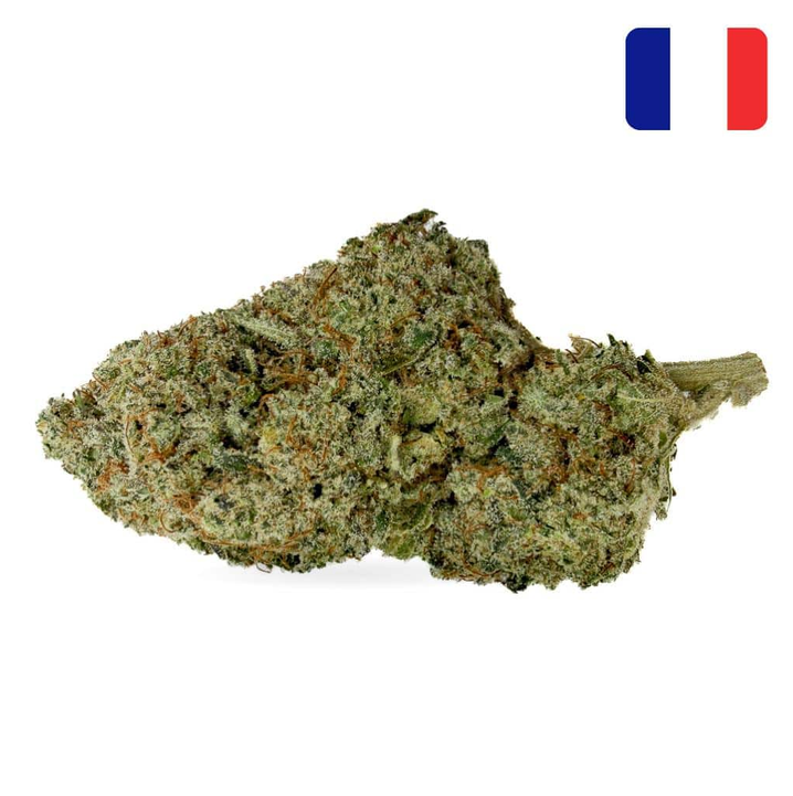 Sunset Sherbet CBD