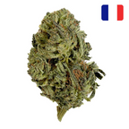 Tangie Candy THCX Bud Mix Green House