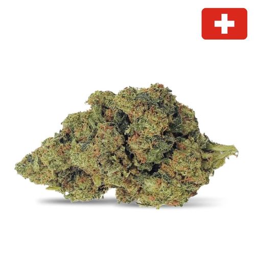 Amnesia Haze THCX 30% – Bud Mix – Indoor Hydro